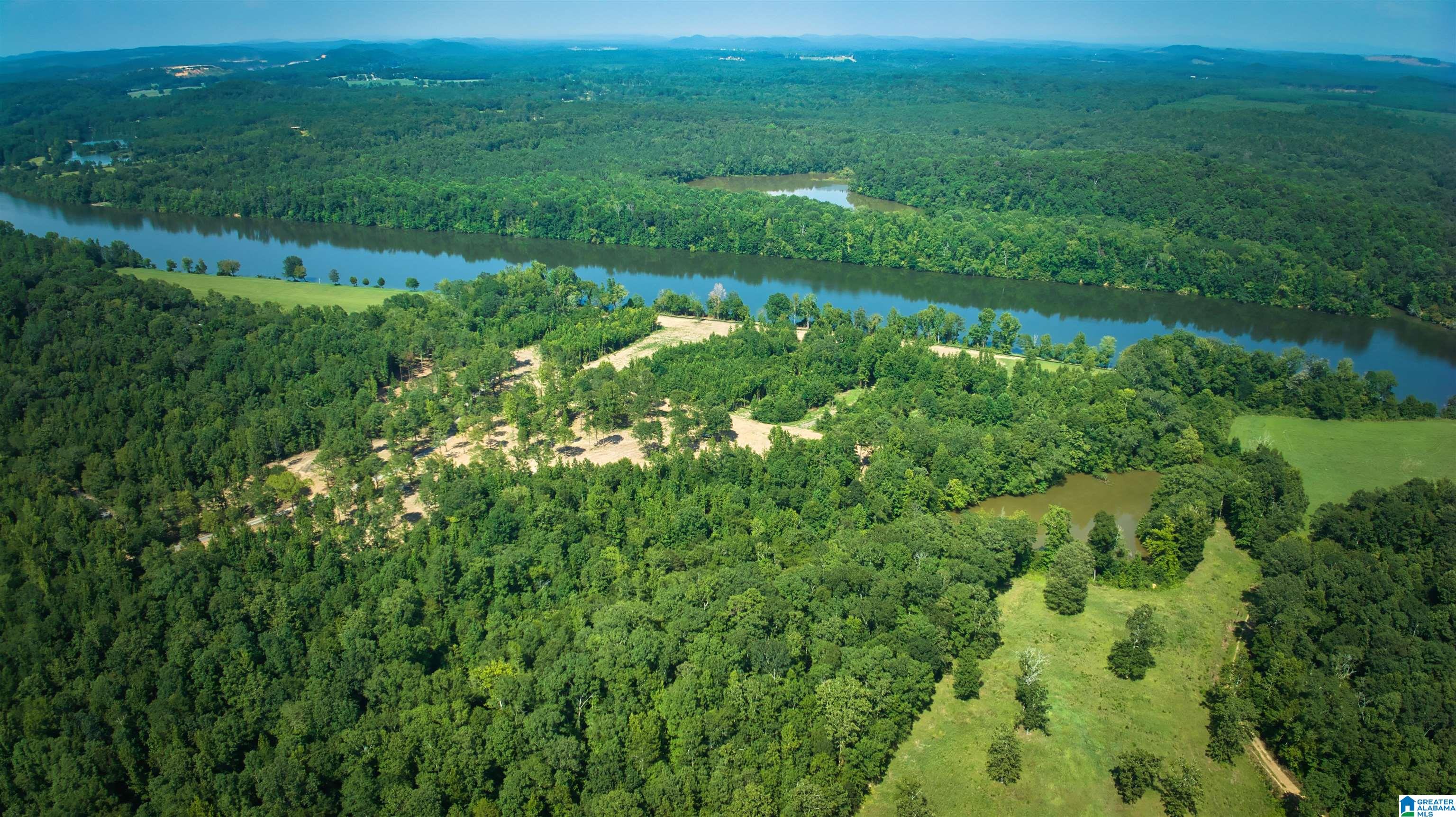 Lot 20 Wester Road, Unit LOT 20 Ragland, AL 35131 - Photo 32 of 68