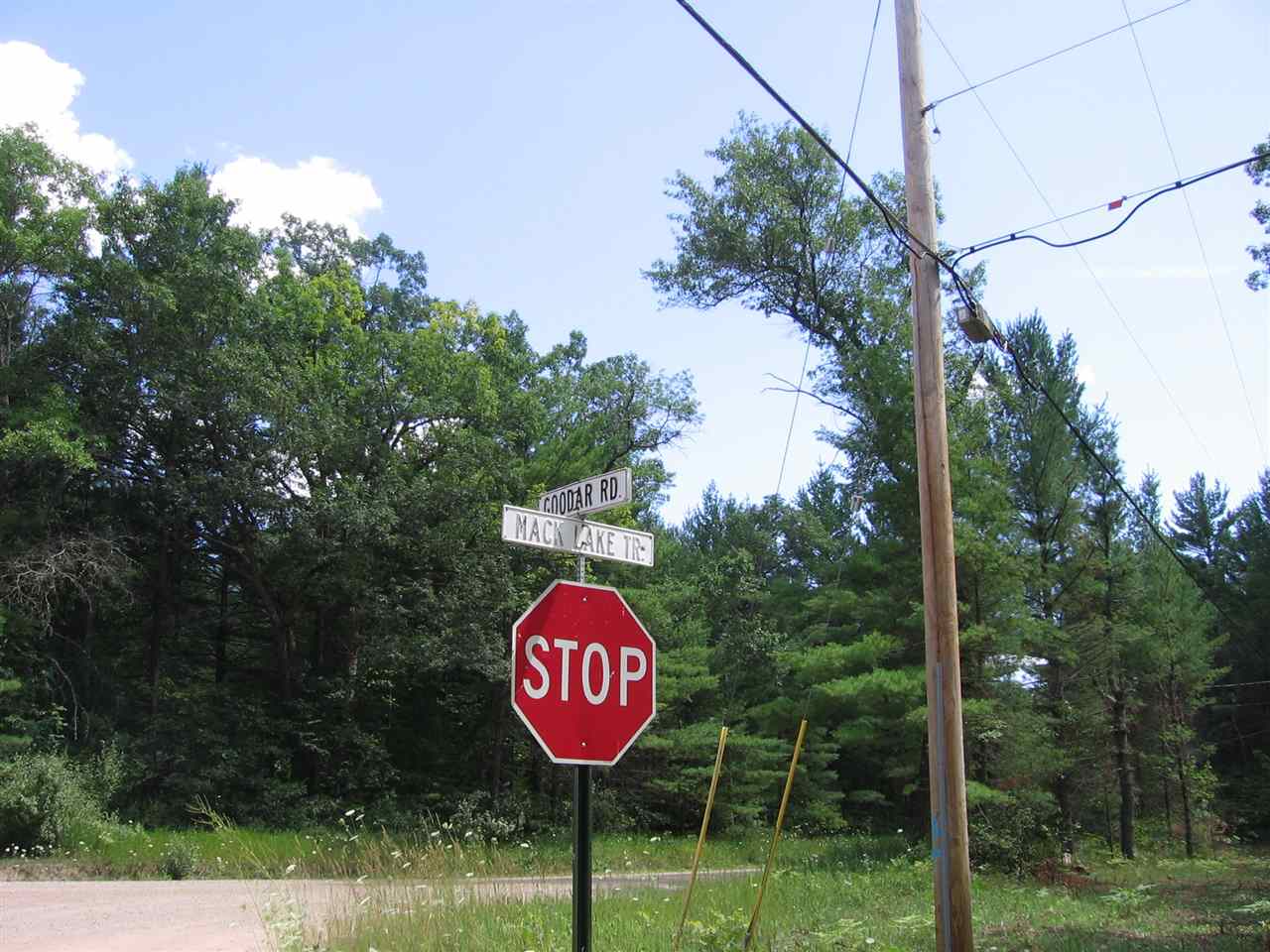 5834 Goodar Road South Branch, MI 48761 - Photo 39 of 39 1820849-38.JPG