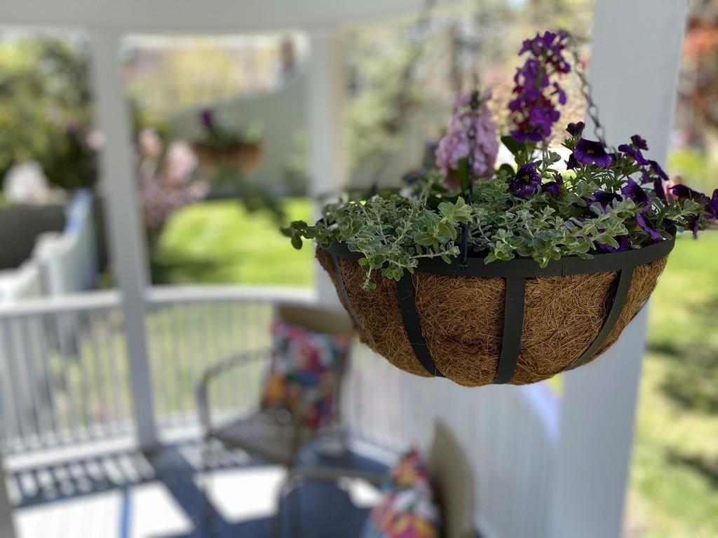 207 Highland Road Andover, MA 01810 - Photo 5 of 35 a view of a flower