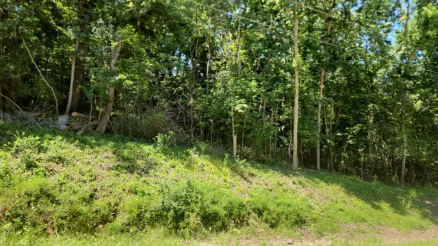 $69,900 | Xxxx Cedar Beach Drive Northwest, Oronoco, MN 55960