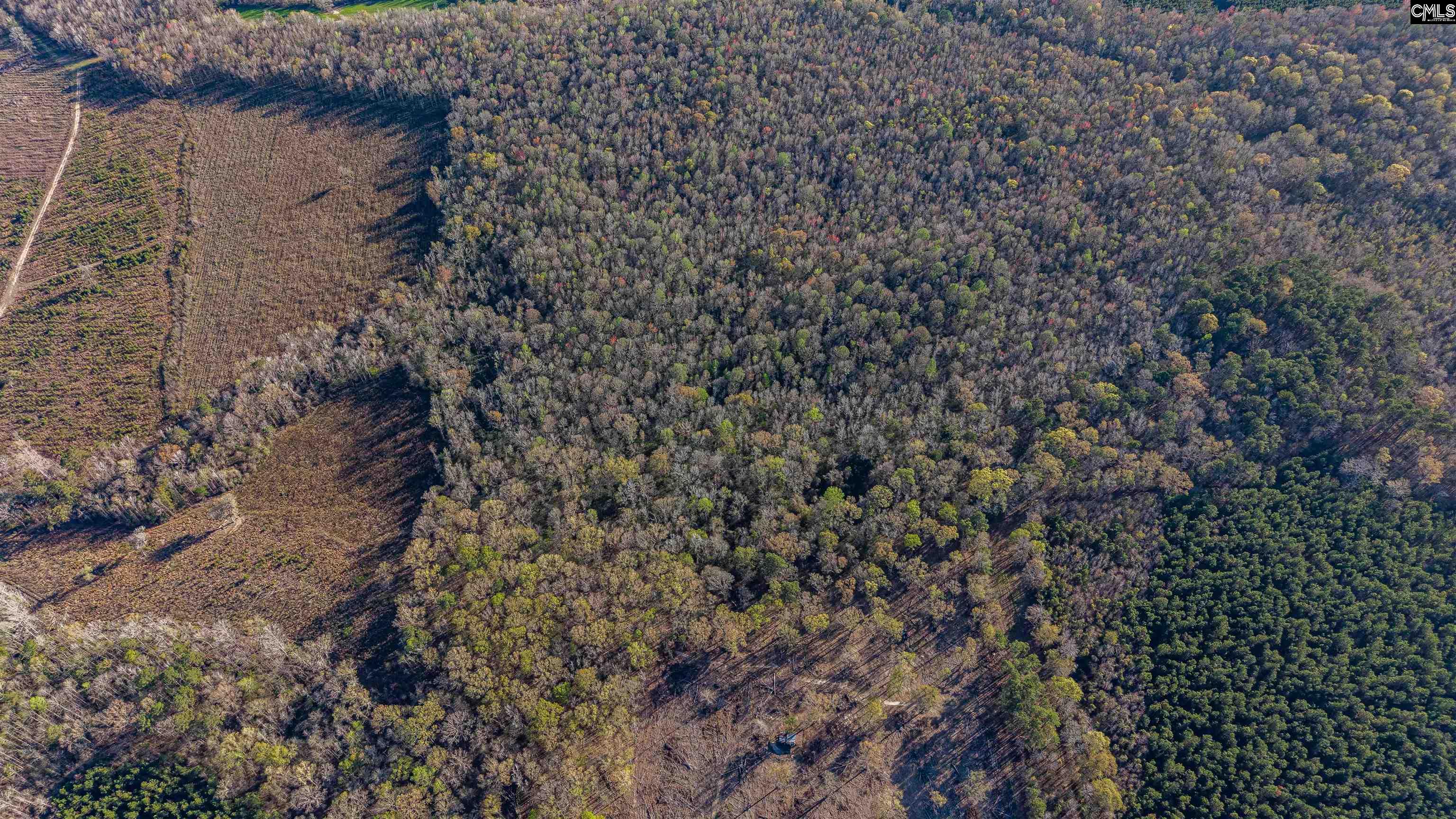 1856 River Road Greeleyville, SC 29056 - Photo 20 of 31