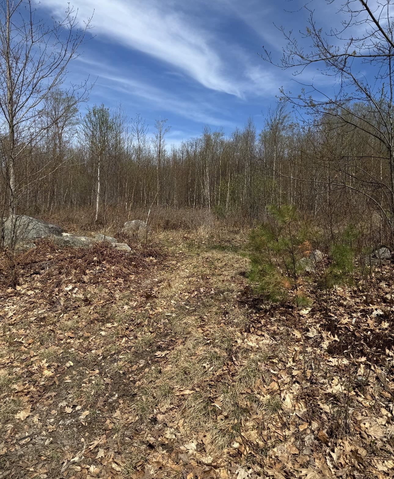 0 Black North Road Acworth, NH 03601 - Photo 7 of 17