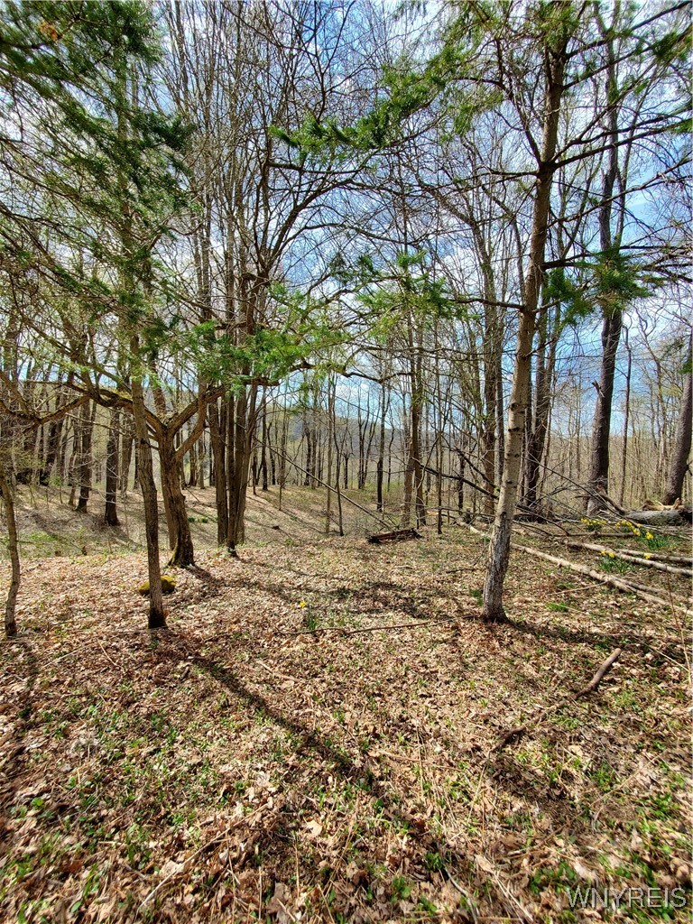 7200 Kent Road Little Valley, NY 14755 - Photo 3 of 43