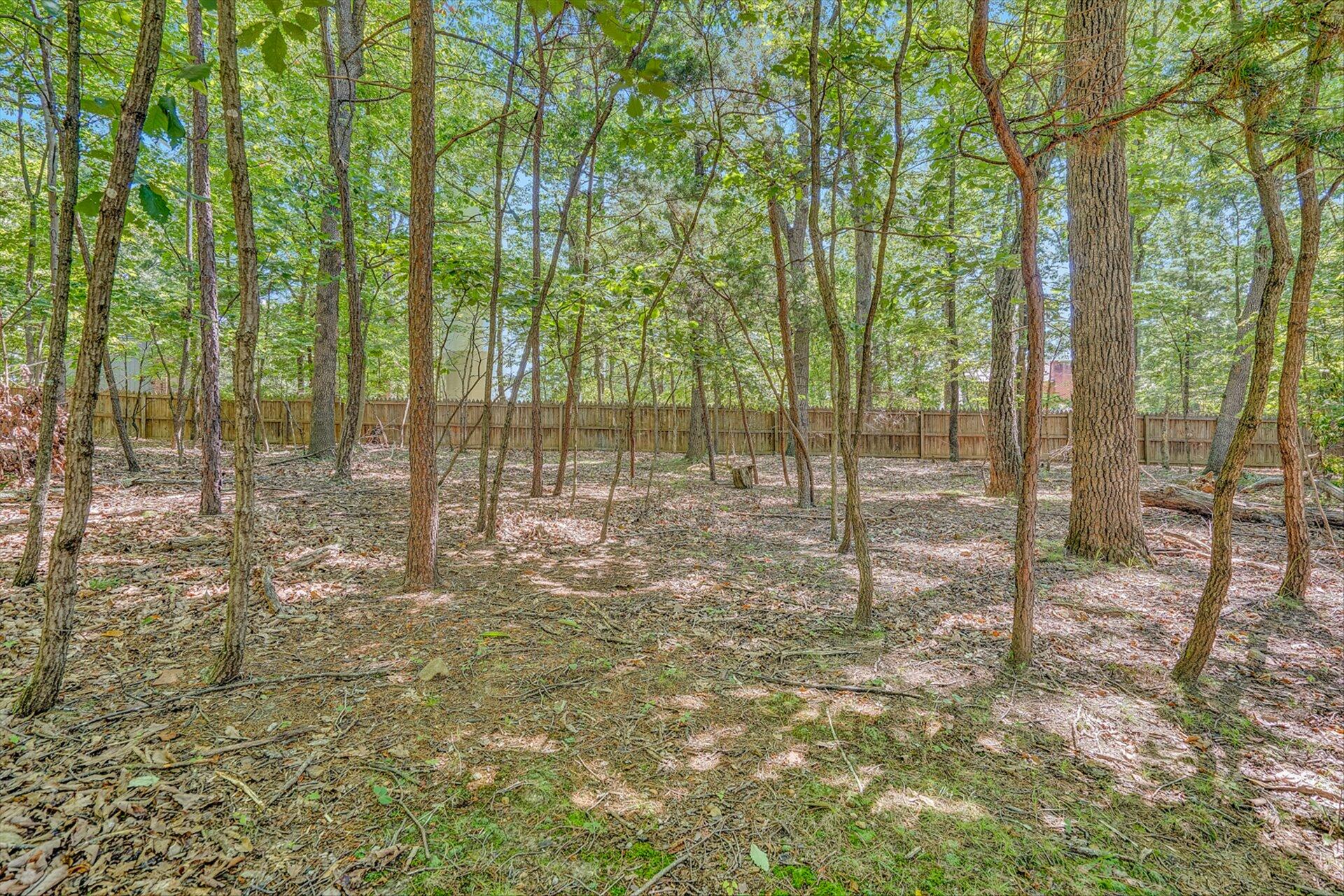 368 Foxcroft Drive Blue Ridge, VA 24064 - Photo 36 of 39 a view of trees and yard
