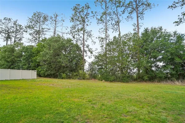 $2,300 | 11467 Cay Spruce Way, San Antonio, FL 33576