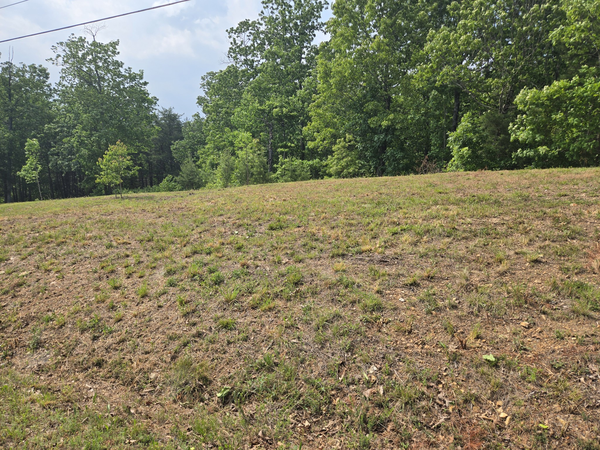 2 Turtle Point Lane Waverly, TN 37185 - Photo 1 of 11 a view of outdoor space