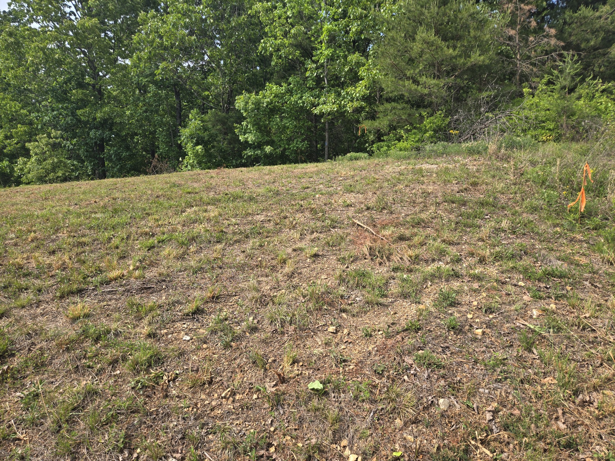 2 Turtle Point Lane Waverly, TN 37185 - Photo 2 of 11 a view of a yard with a trees