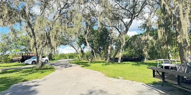 a view of a park with large trees