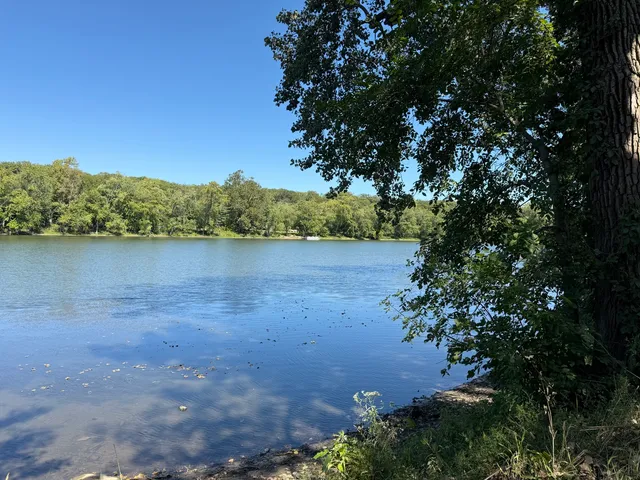 a view of a lake in a forest
