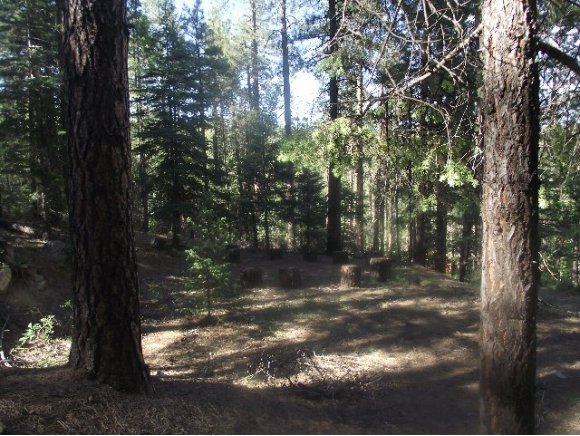 2820 Shelf Road Prescott, AZ 86303 - Photo 3 of 19 The Property