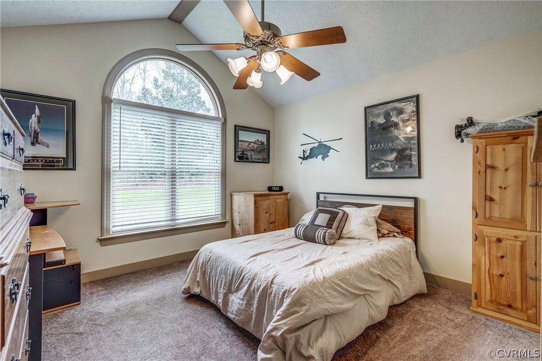 925 Dispatch Road Quinton, VA 23141 - Photo 25 of 27 Bedroom #1 features cathedral ceilings, ceiling fa