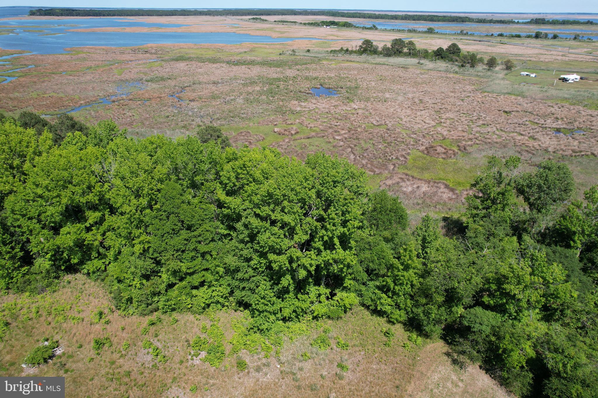 228 Fishhook Lane Deal Island, MD 21821 - Photo 10 of 10