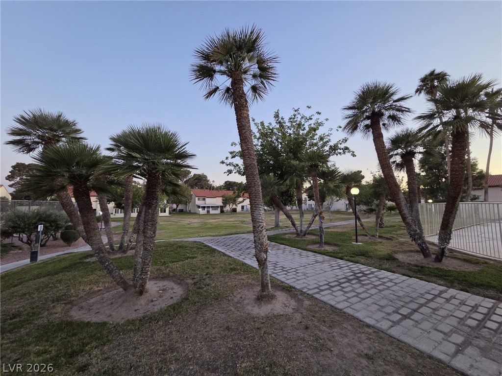 3317 Racquet Street Las Vegas, NV 89121 - Photo 21 of 23 A tranquil pathway meanders through lush greenery, offering serene strolls amidst nature's beauty.
