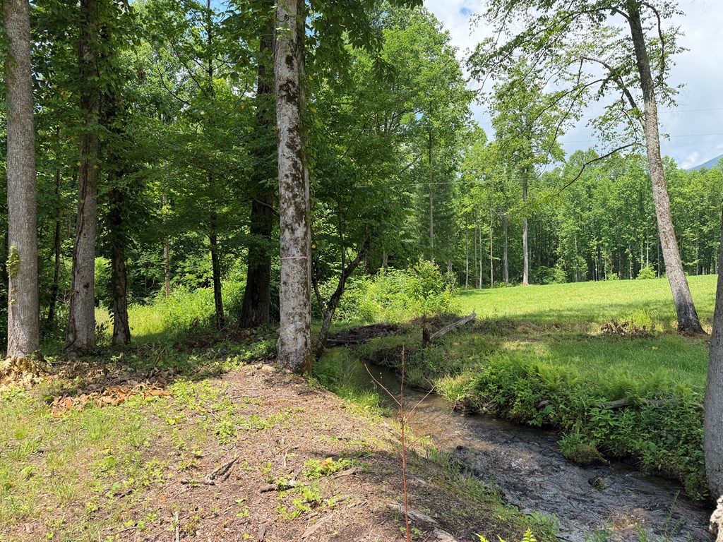 1446 Muskrat Creek Road Hayesville, NC 28904 - Photo 71 of 108