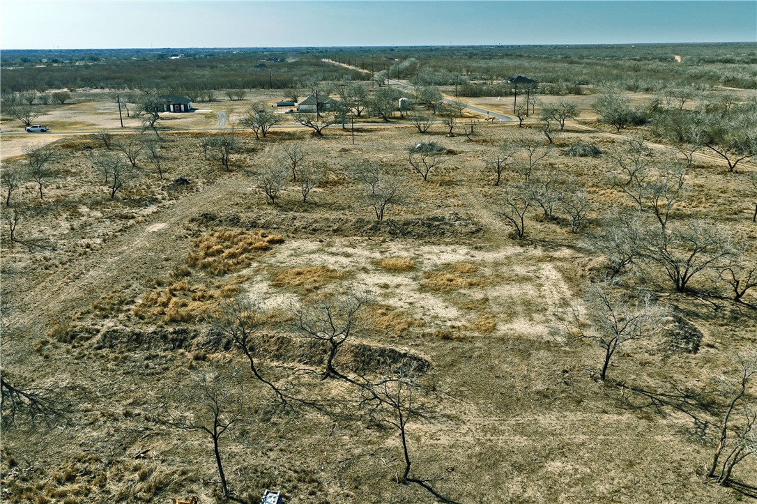0 Cr 146 Alice, TX 78332 - Photo 8 of 10