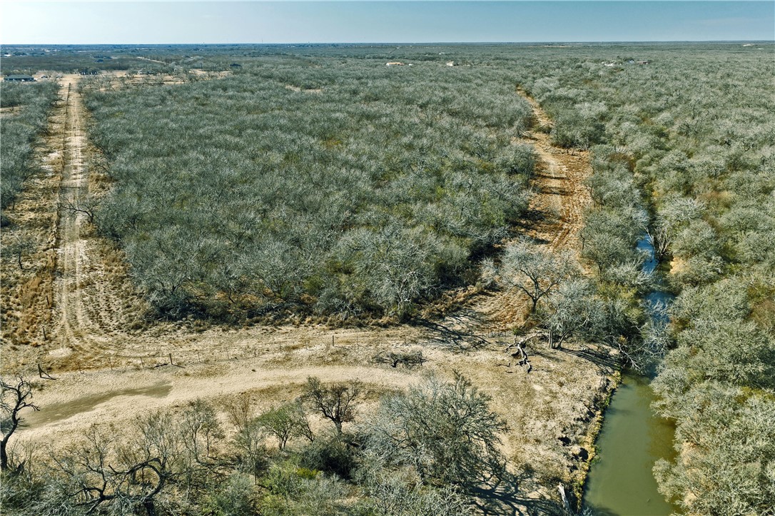 0 Cr 146 Alice, TX 78332 - Photo 9 of 10 a view of a lake view