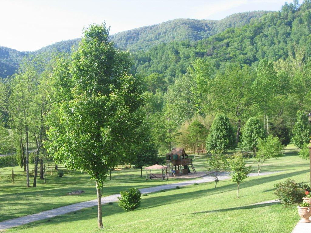 6659 Poage Valley Rd Extension Roanoke, VA 24018 - Photo 5 of 10 Backyard View
