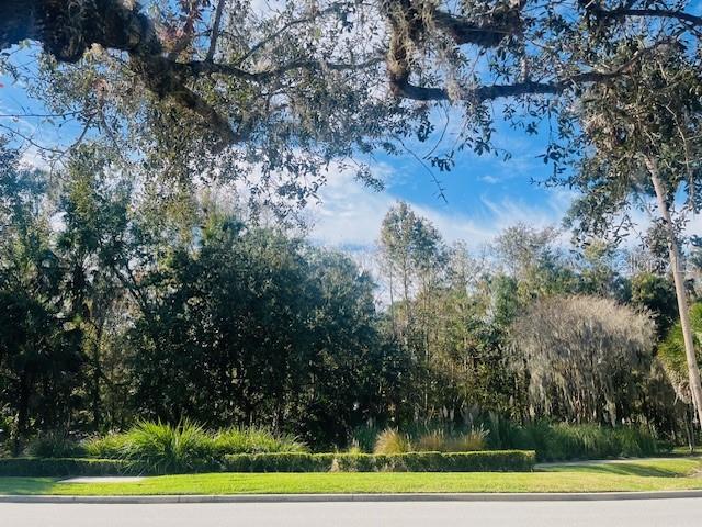 1268 Celebration Avenue Celebration, FL 34747 - Photo 18 of 25 a view of a yard with large trees