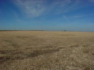 100 Etzel Road Dixon, CA 95620 - Photo 1 of 5 Gallery Image 1