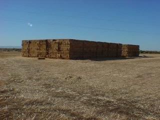 100 Etzel Road Dixon, CA 95620 - Photo 2 of 5 Gallery Image 2