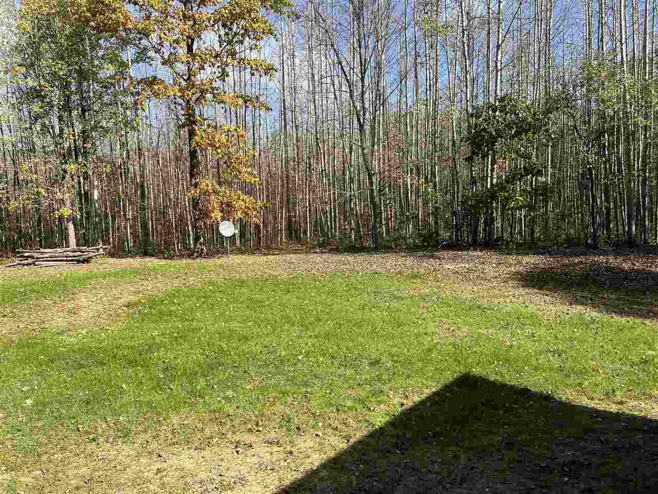 3338 Nisabella Co Line Road Farwell, MI 48622 - Photo 49 of 51 1894314-48.JPG