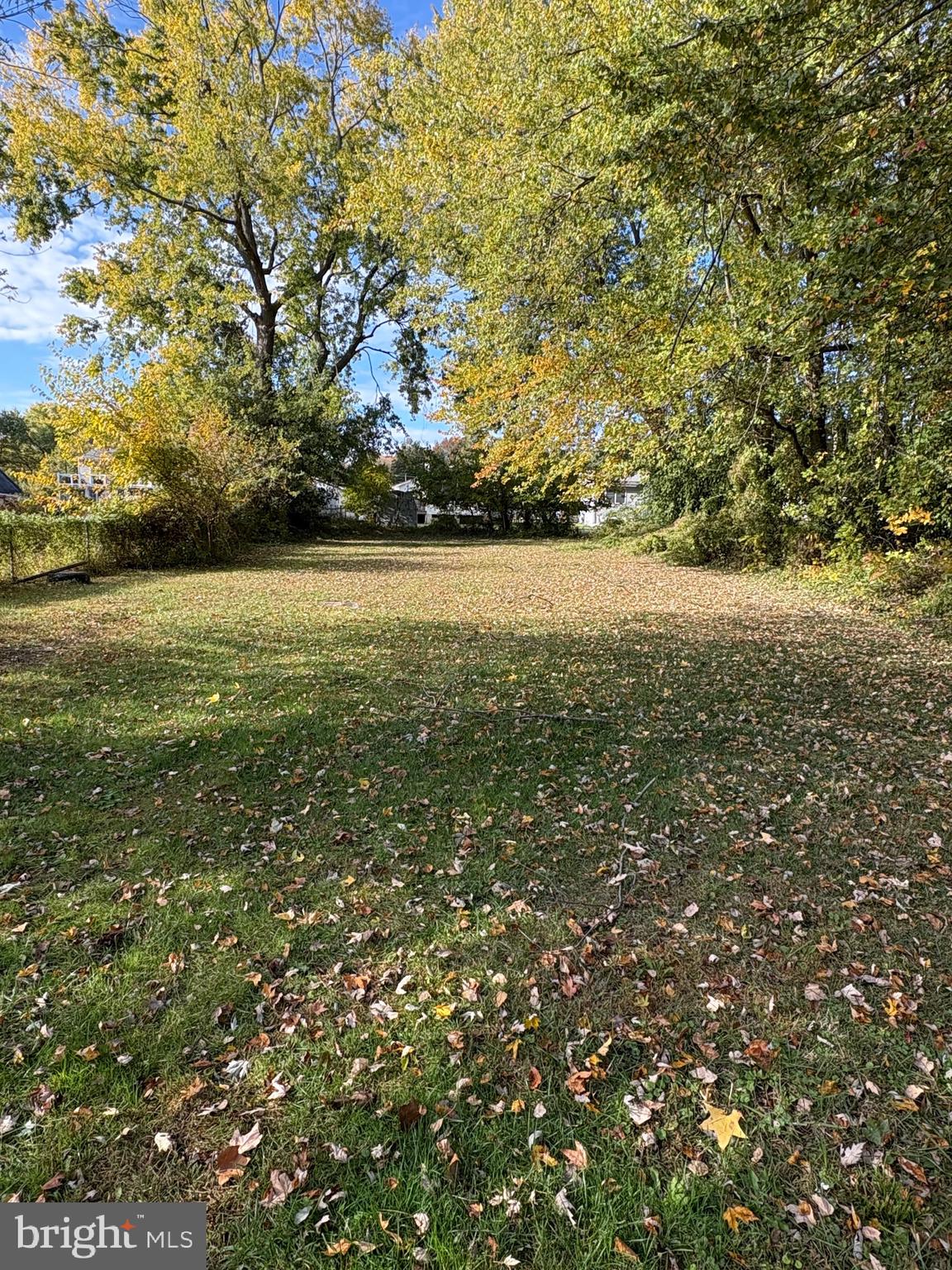 a view of yard with large trees