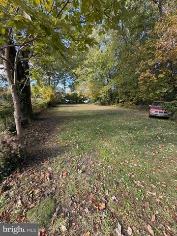 a view of a field with trees