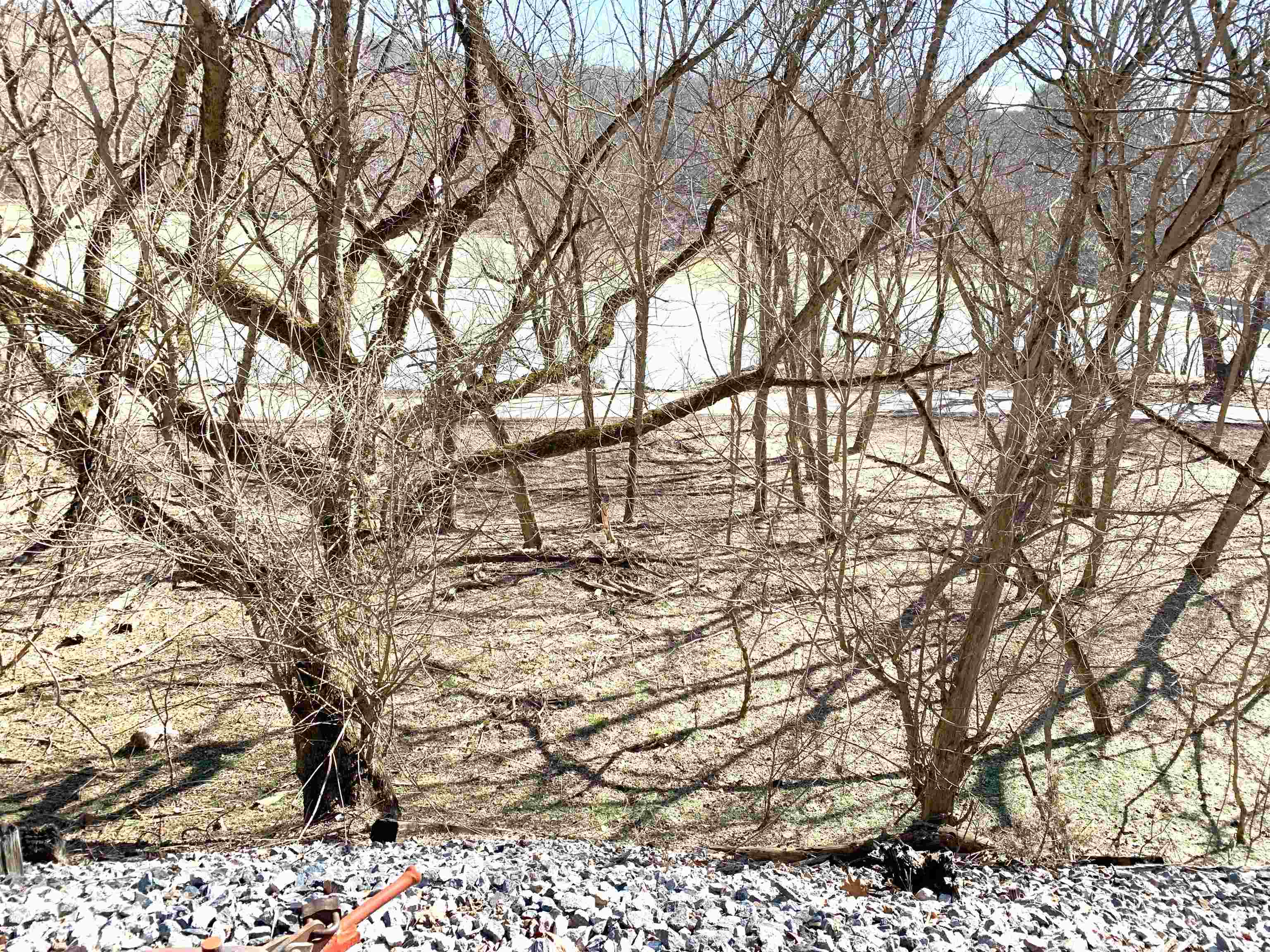 Tbd Ripplemead Road Ripplemead, VA 24150 - Photo 7 of 9 Gallery Image 7