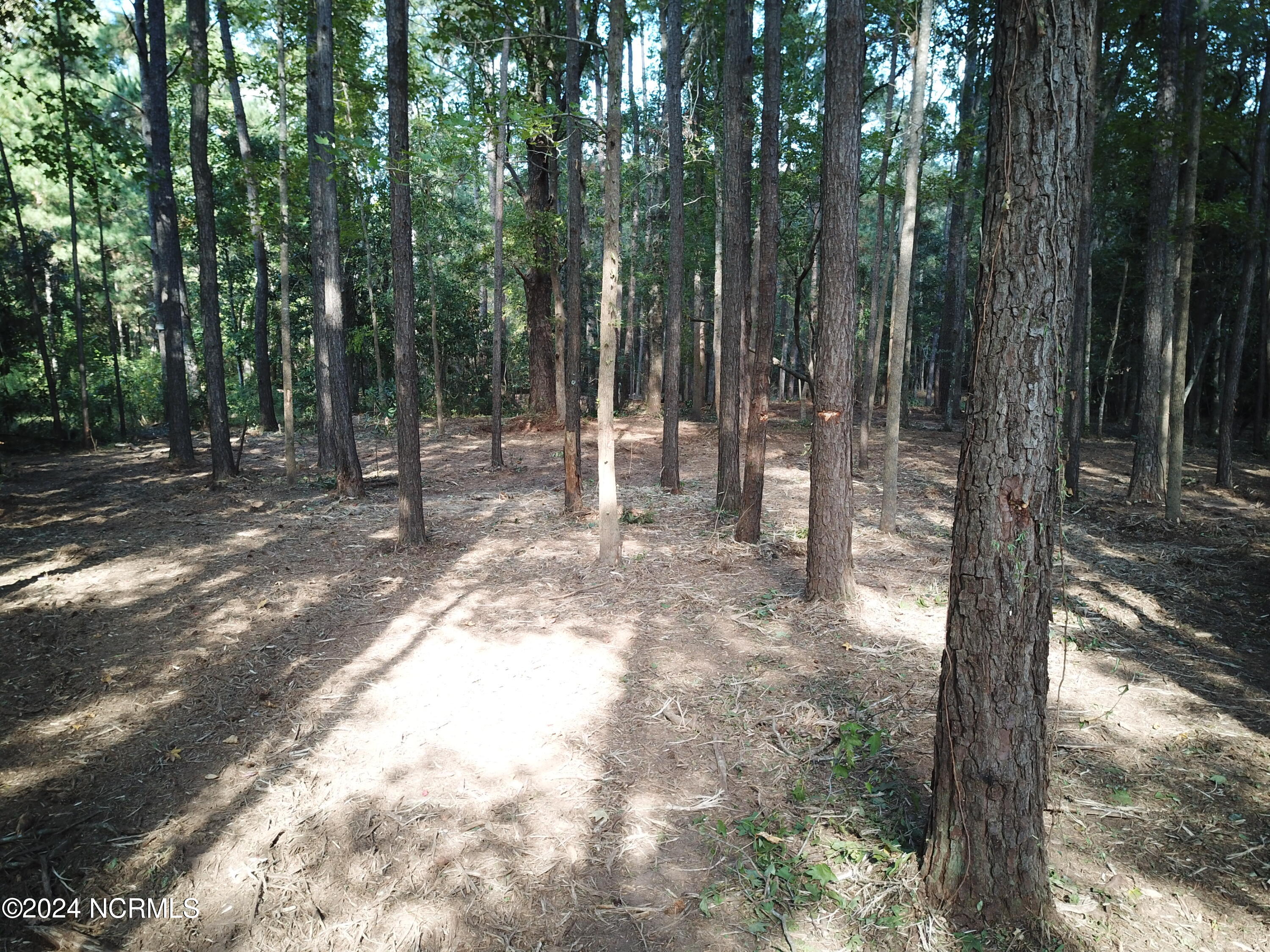 DJI_0576