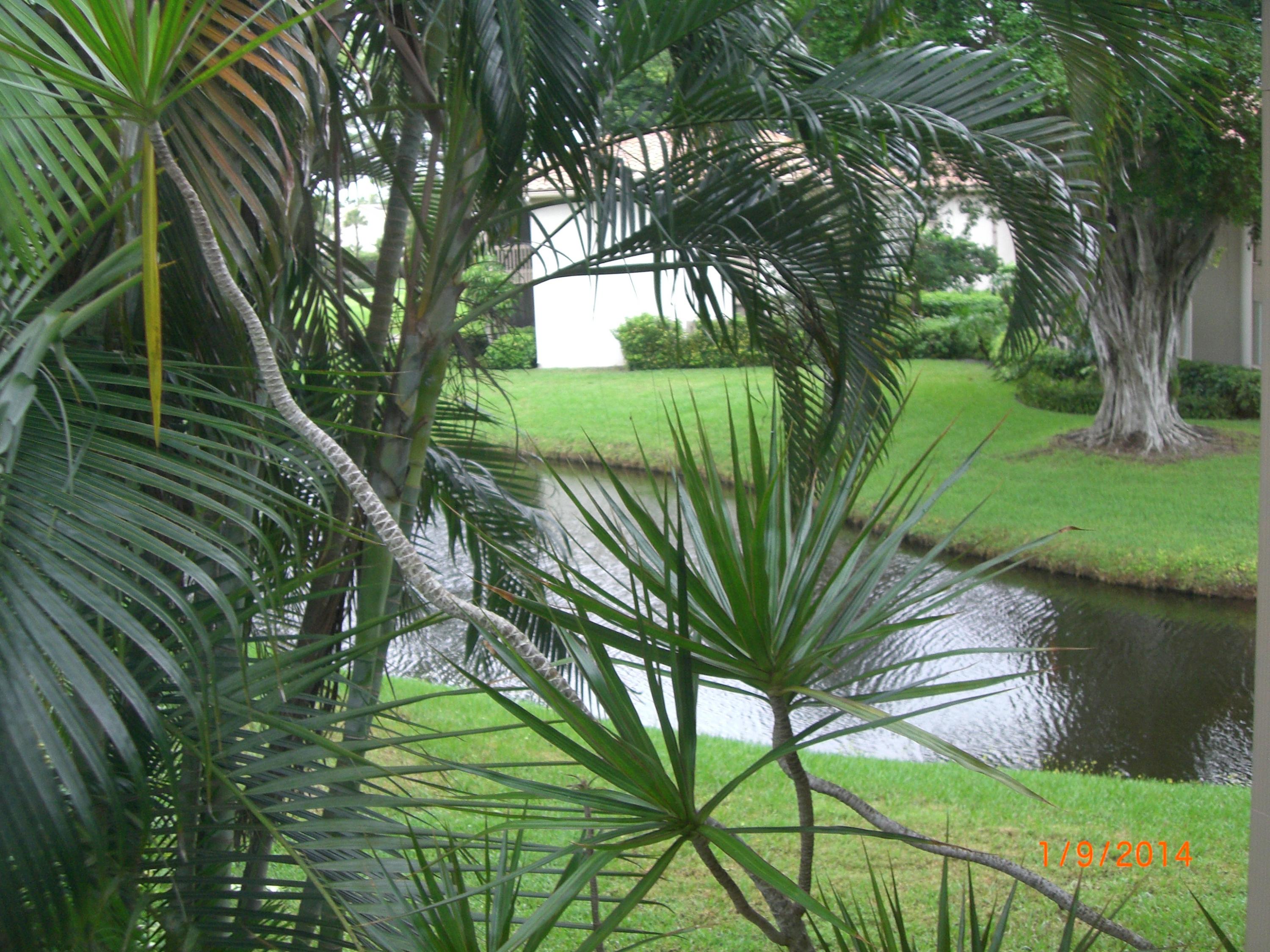 19741 Boca W Drive, Unit 4132 Boca Raton, FL 33434 - Photo 16 of 16 CIMG2412