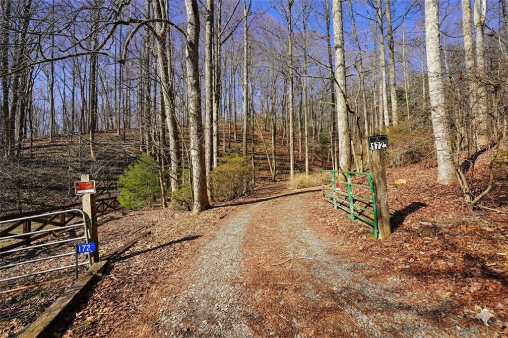 172 Sweetwater Road Cherry Log, GA 30522 - Photo 9 of 26 Gallery Image 9
