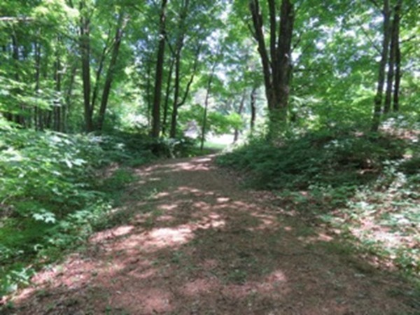 24 Montague Road Leverett, MA 01054 - Photo 25 of 28 Gallery Image 25