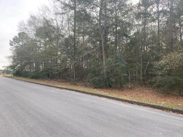 Tbd Shannan Road Opp, AL 36467 - Photo 19 of 20 Gallery Image 19