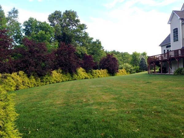 12 Brook Hill Road Sturbridge, MA 01518 - Photo 27 of 30