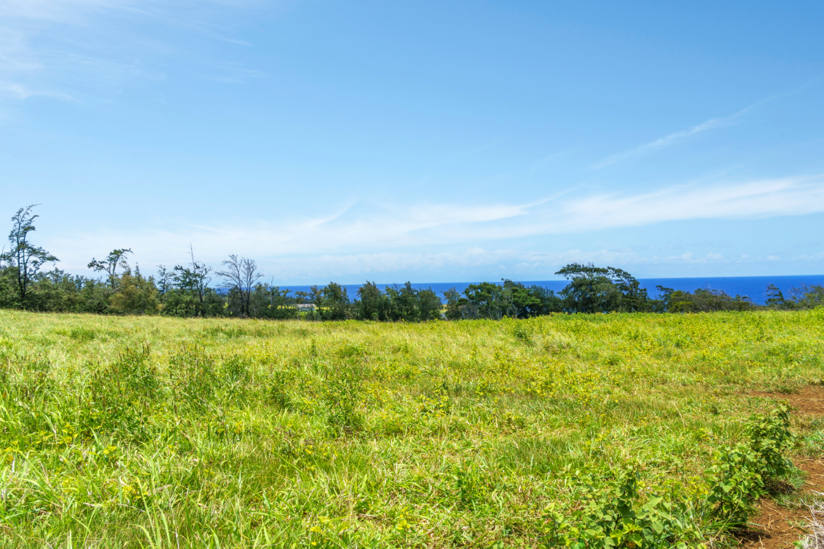 55-199 Hoea Road Hawi, HI 96719 - Photo 10 of 19