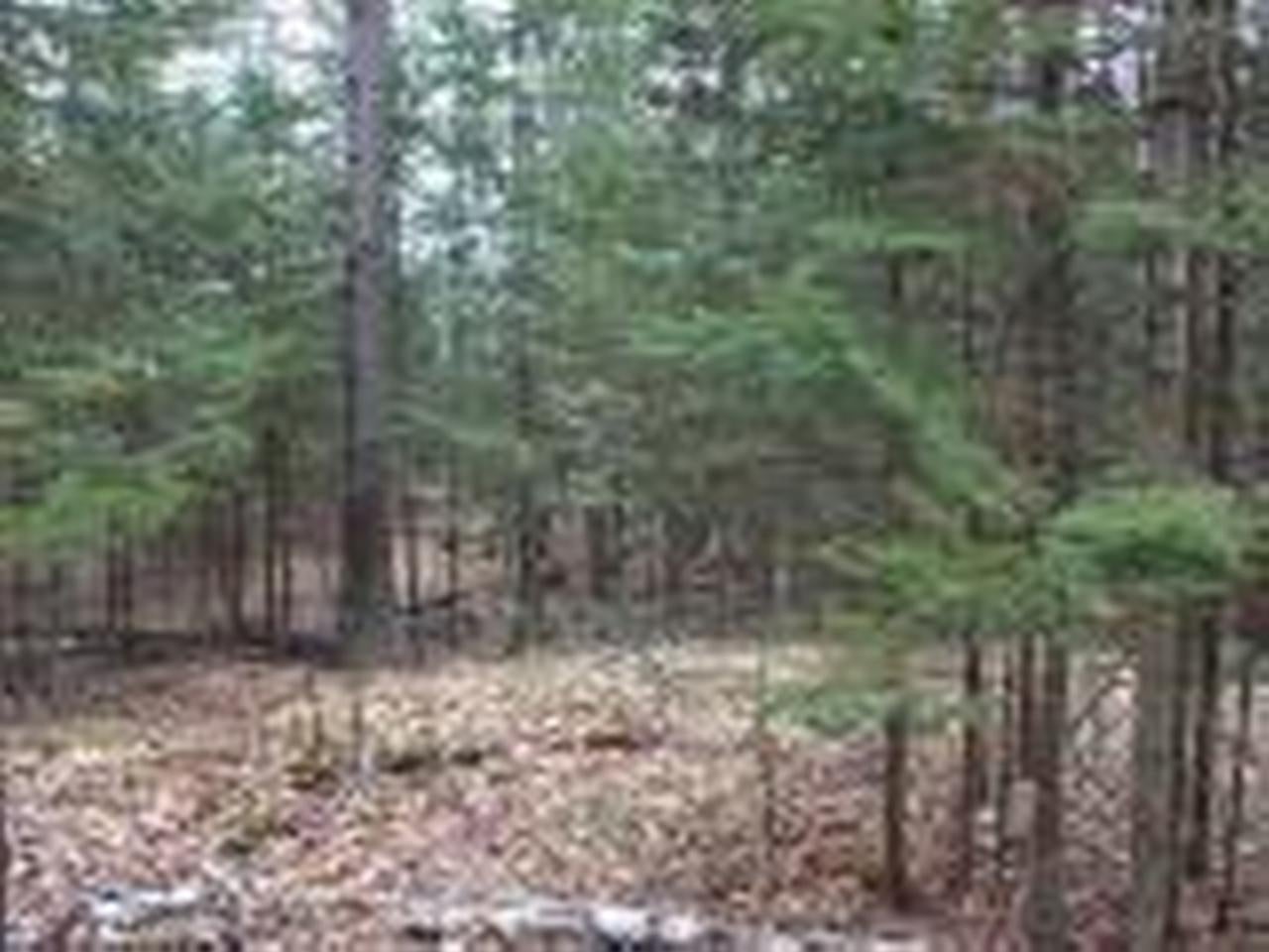 7895 North Alva Road, Unit W 34AC Lake Tomahawk, WI 54539 - Photo 12 of 13 Gallery Image 12