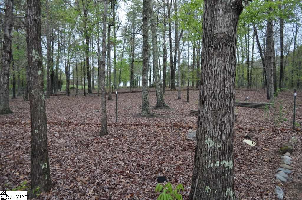 353-r C R C Thompson Road Chesnee, SC 29323 - Photo 23 of 24 Gallery Image 23