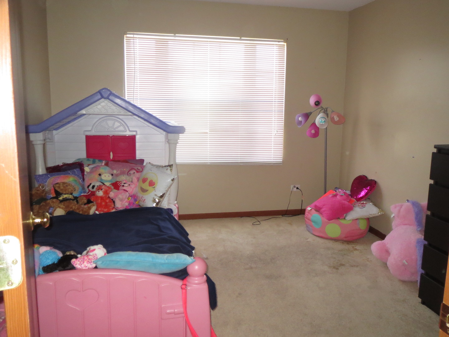 649 Chestnut Ridge, Unit 649 Minooka, IL 60447 - Photo 12 of 15