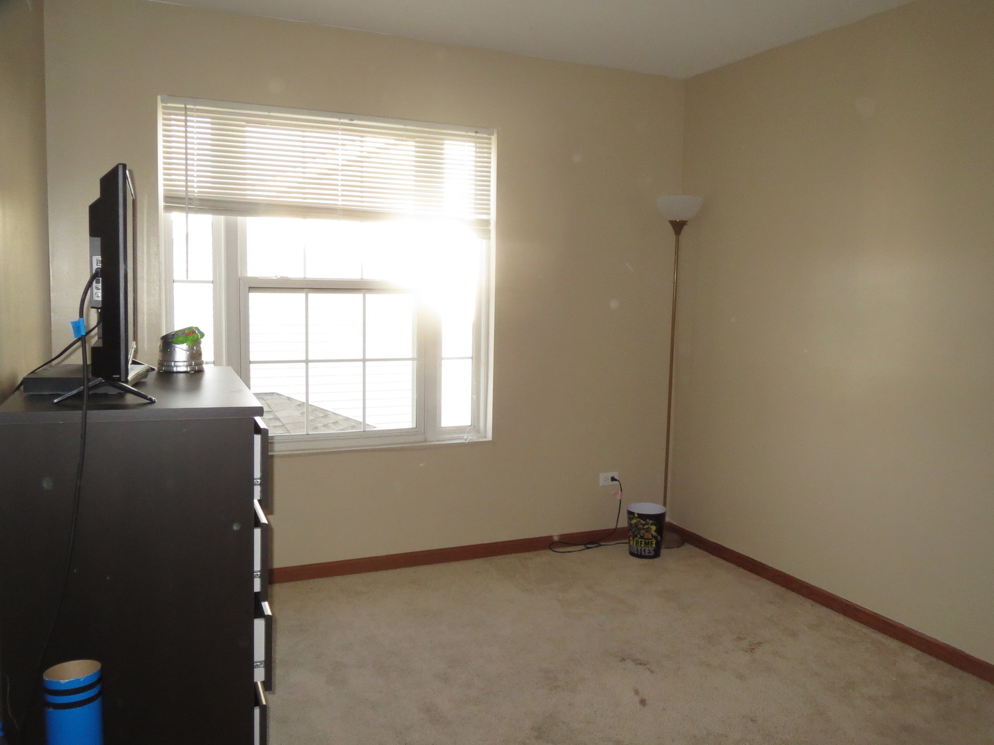649 Chestnut Ridge, Unit 649 Minooka, IL 60447 - Photo 13 of 15