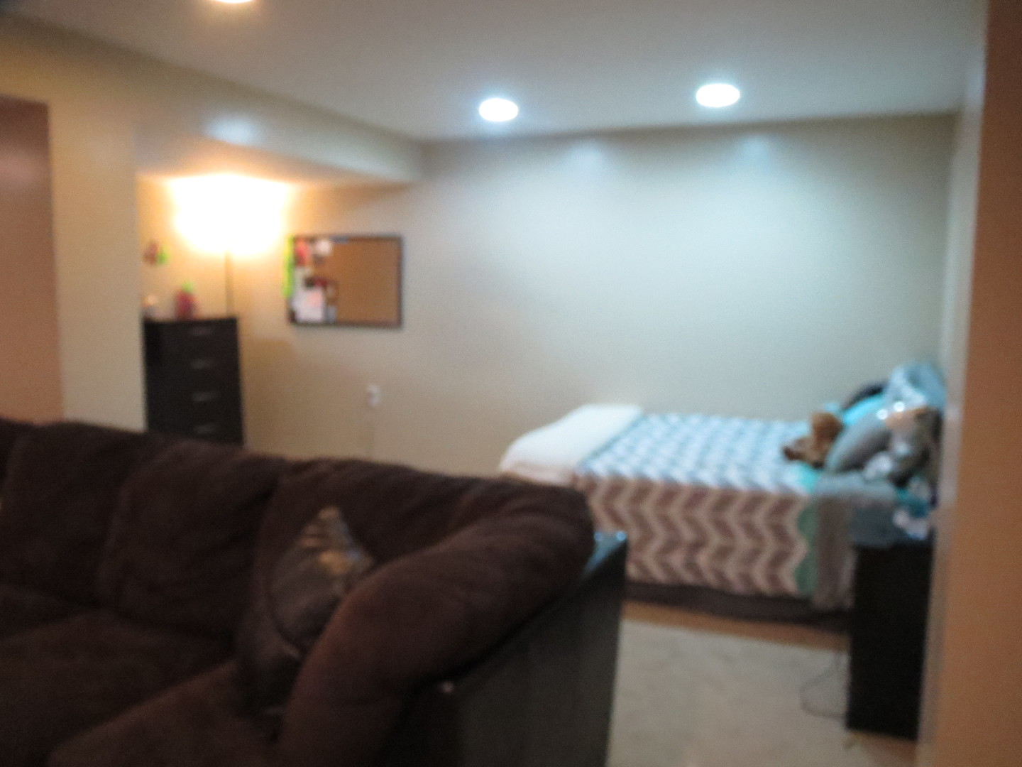 649 Chestnut Ridge, Unit 649 Minooka, IL 60447 - Photo 10 of 15