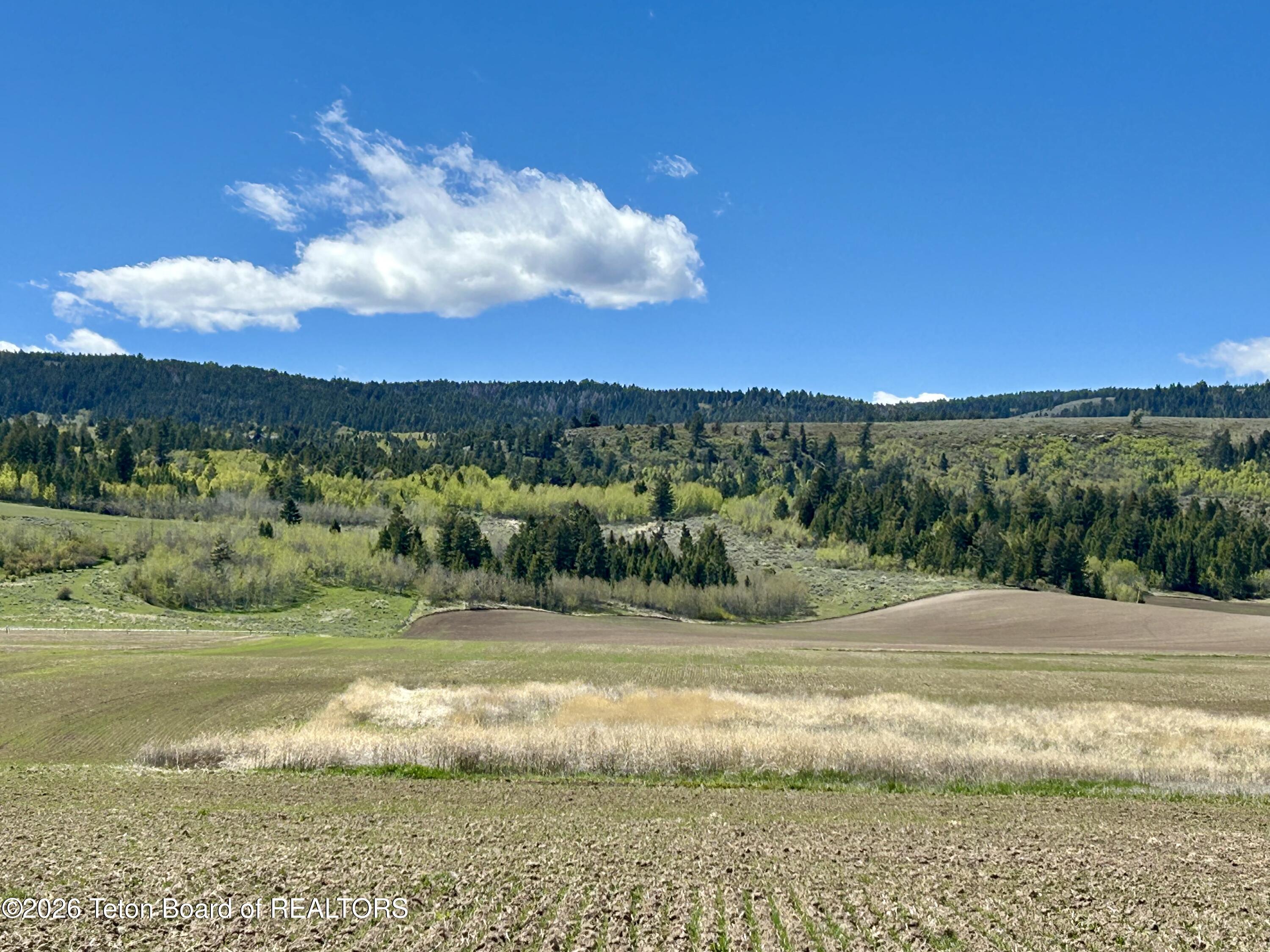 8643 Inglin Ridge Road Tetonia, ID 83452 - Photo 3 of 3 IMG_3778