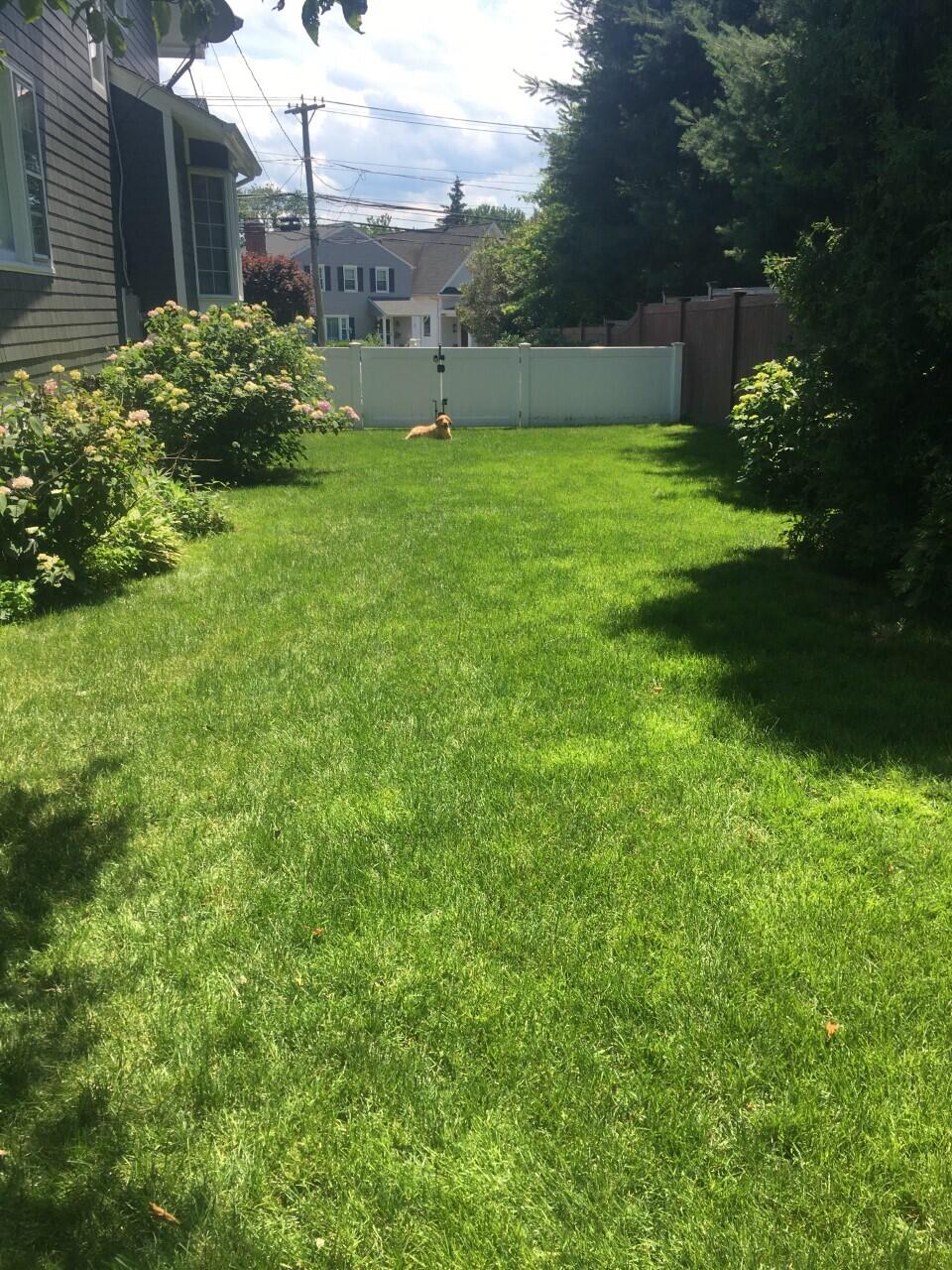 212 West Avenue Darien, CT 06820 - Photo 3 of 40 a view of a backyard