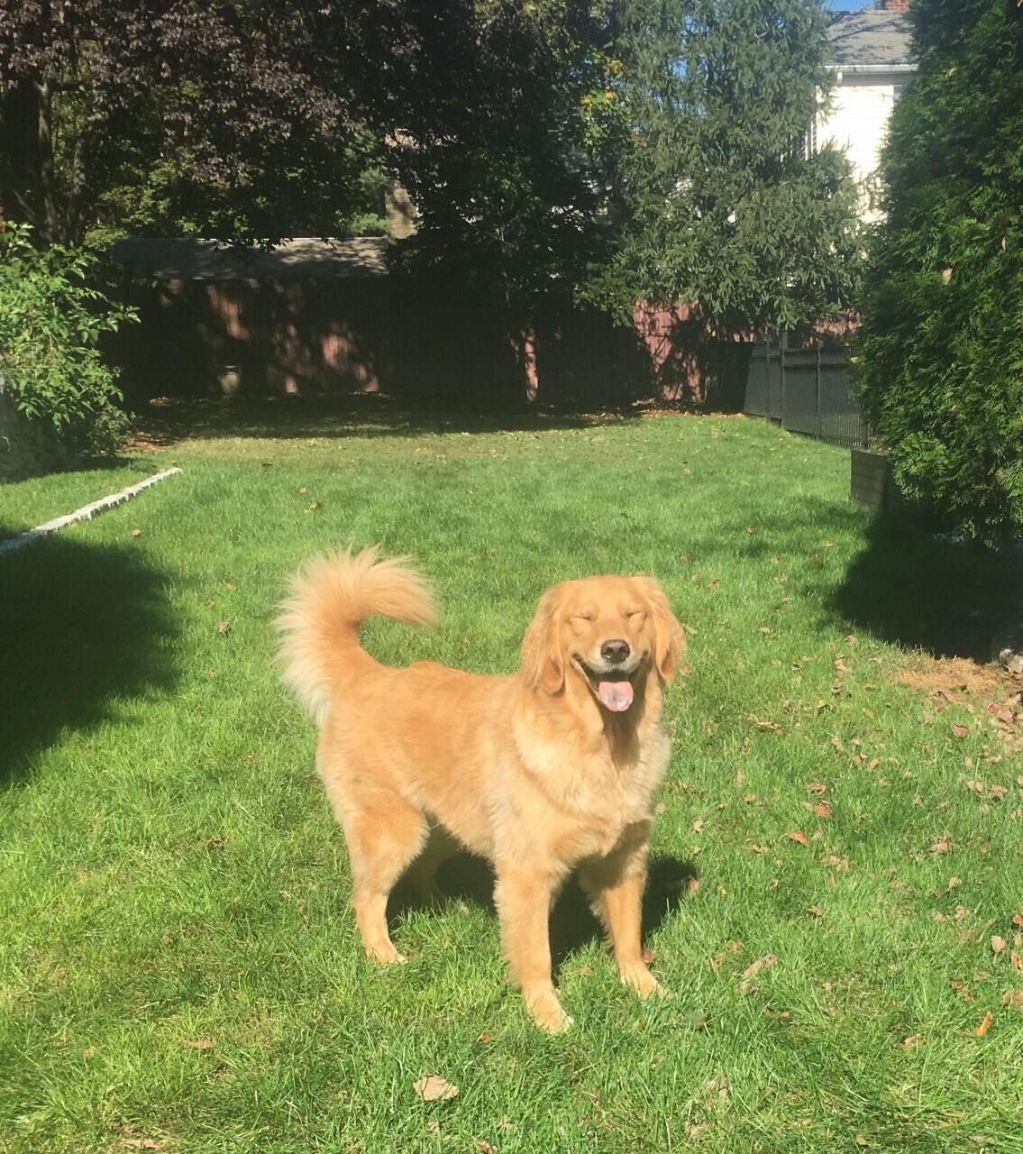 212 West Avenue Darien, CT 06820 - Photo 33 of 40 a close up of a lake view