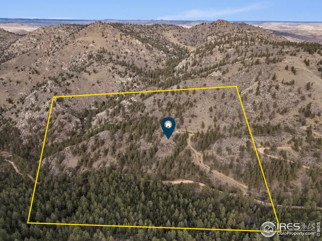 a view of a dry yard