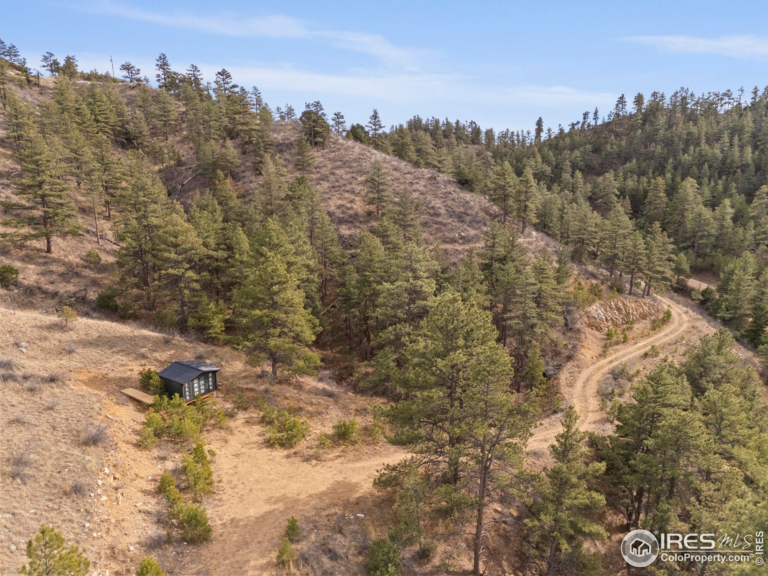 5771 Obenchain Road Laporte, CO 80535 - Photo 12 of 39 a view of a covered with trees in the background
