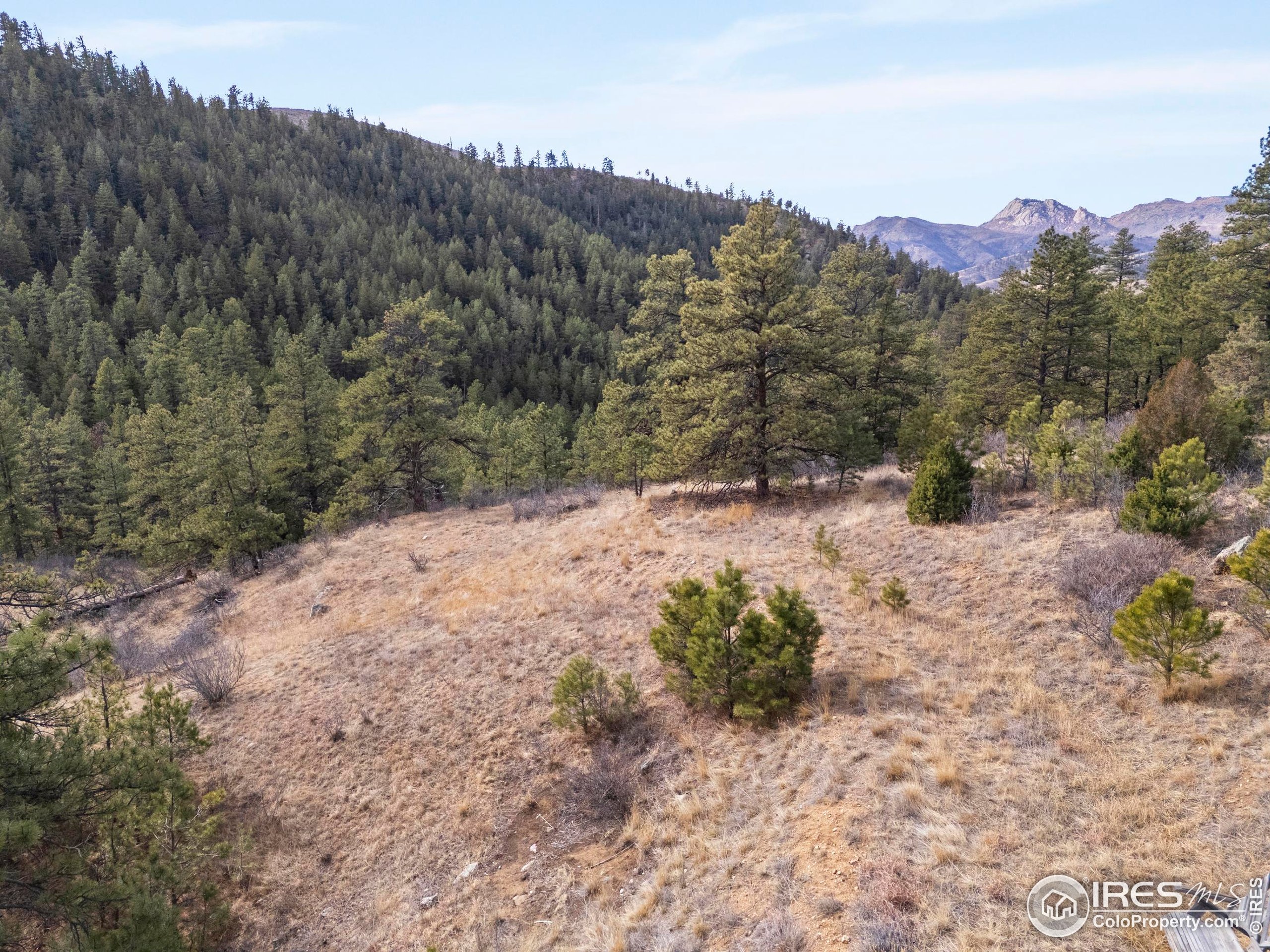 5771 Obenchain Road Laporte, CO 80535 - Photo 13 of 39 a view of a snow on the side of a mountain