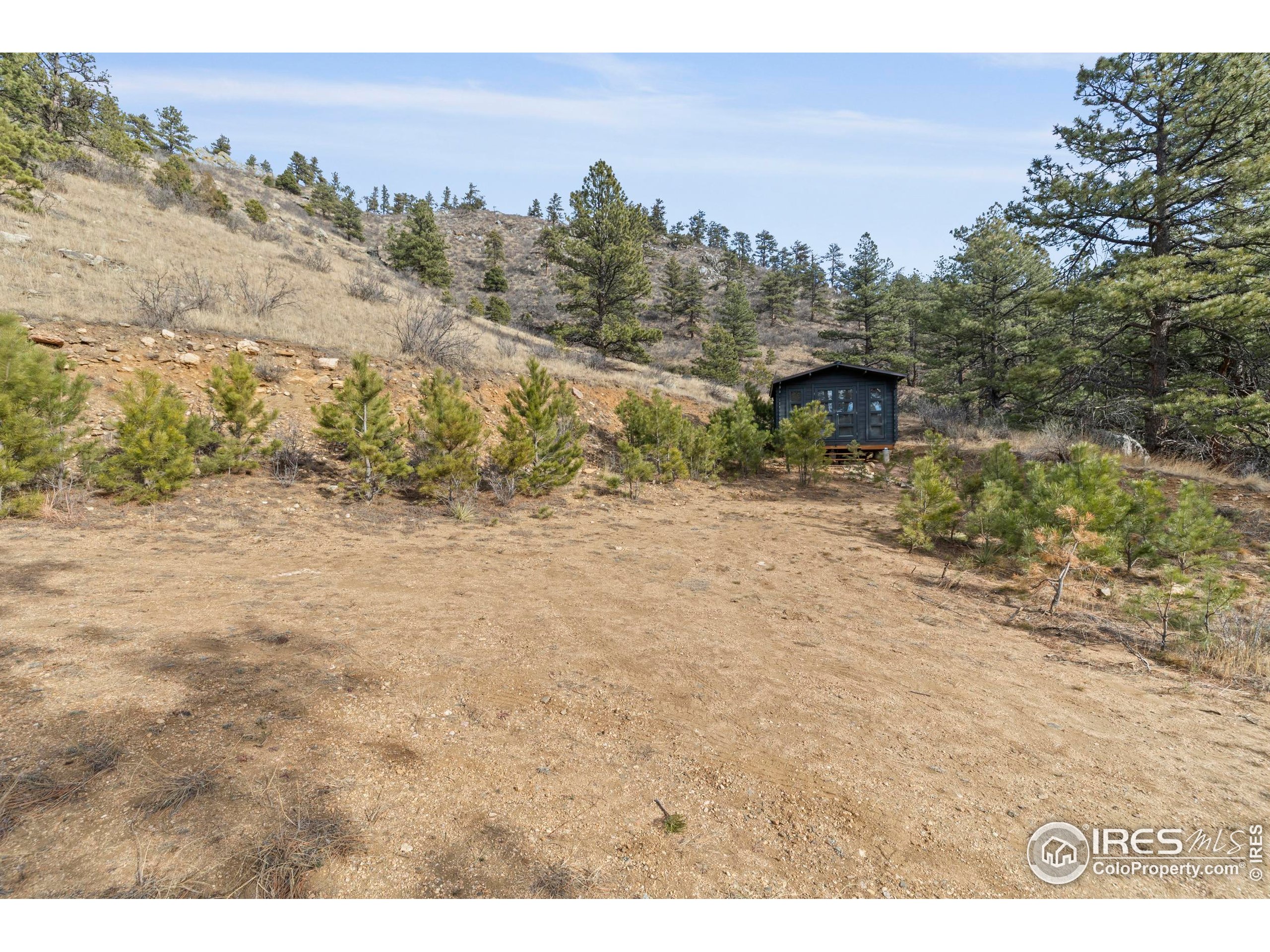 5771 Obenchain Road Laporte, CO 80535 - Photo 14 of 39 a view of a dry yard with trees in the background