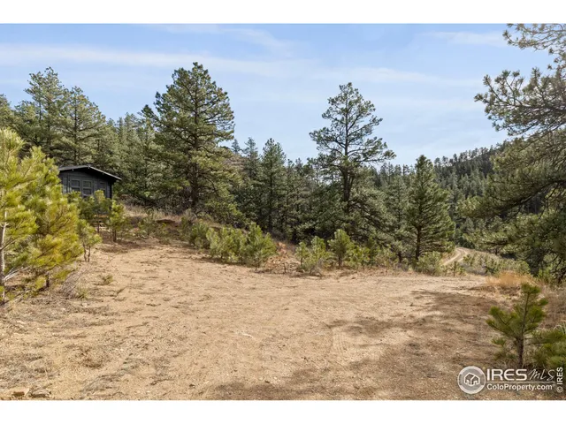a view of a yard with a tree