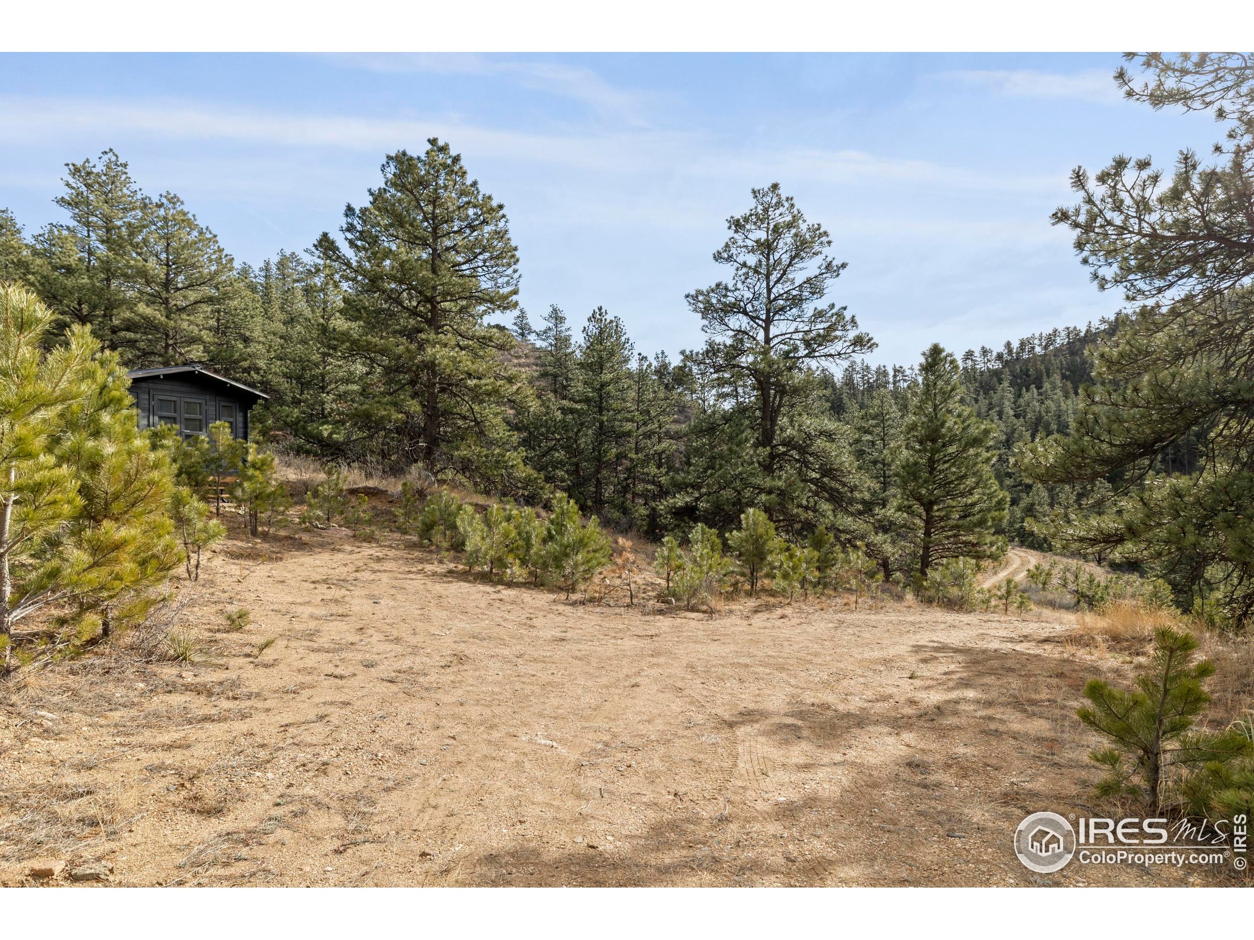 5771 Obenchain Road Laporte, CO 80535 - Photo 15 of 39 a view of a yard with a tree