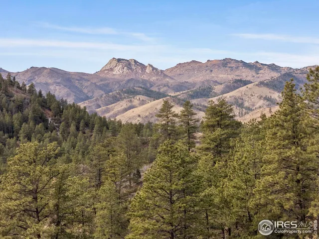a view of a bunch of trees